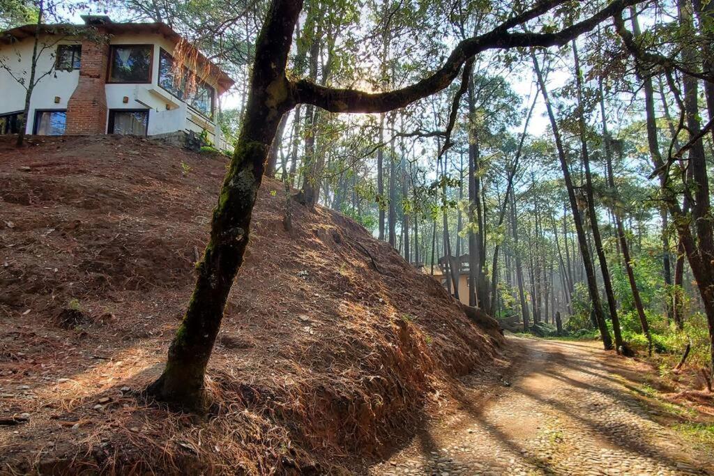 Villa Fantasia A 15 Min A Pie De Cascada Mazamitla Exteriör bild