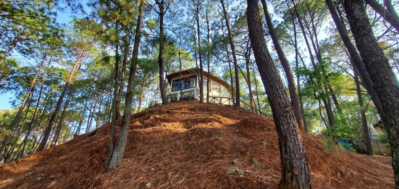 Villa Fantasia A 15 Min A Pie De Cascada Mazamitla Exteriör bild